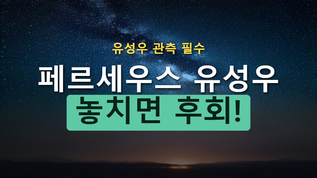 8월 유성우