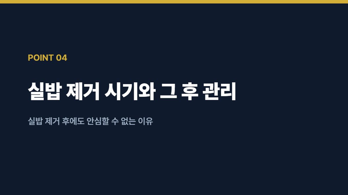 사랑니 발치
