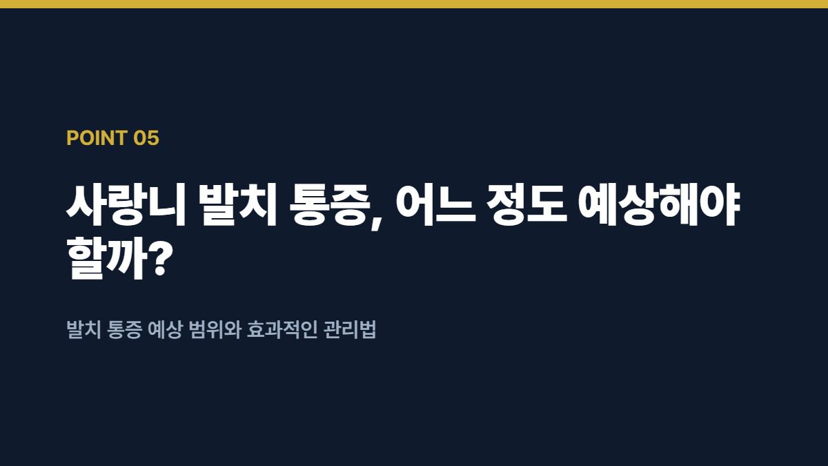 사랑니 발치