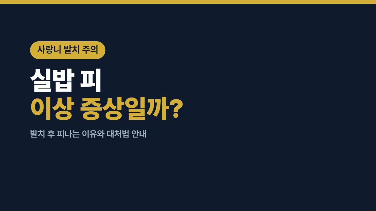 사랑니 발치