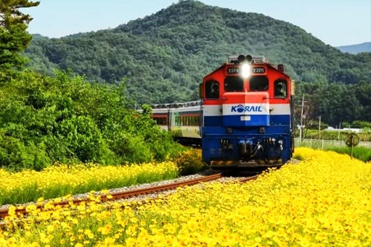 KTX 역귀성 할인 승차권 예매 방법 및 잔여석 조회
