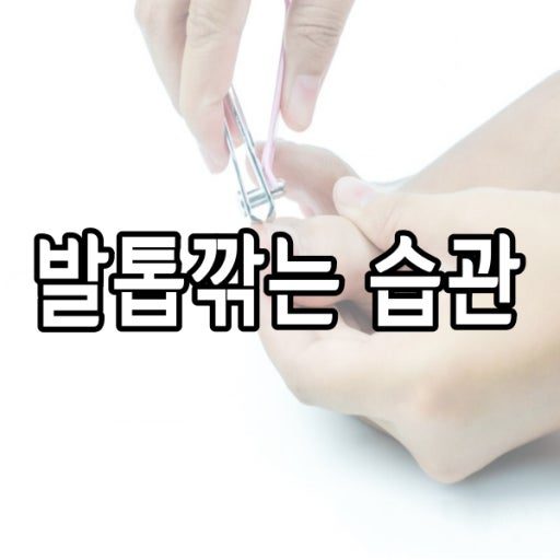 내성발톱 옆살붓기 예방을 위한 올바른 발톱 깎기 및 생활 습관