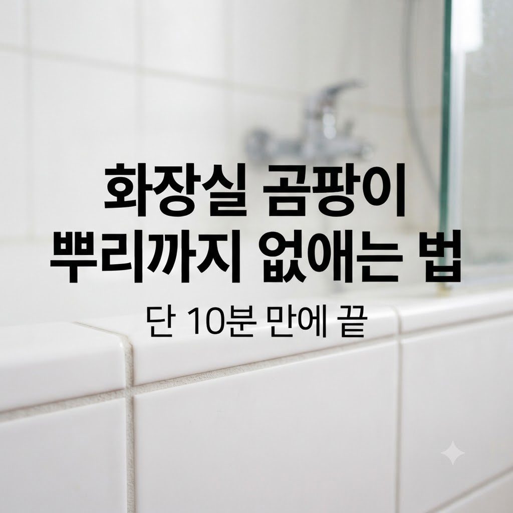 곰팡이예방